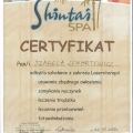 Powiększ obraz: certificate 11