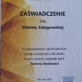 Powiększ obraz: certificate 6