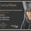 Powiększ obraz: certificate 2
