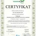 Powiększ obraz: certificate 17