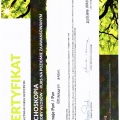 Powiększ obraz: certificate 3