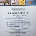 Powiększ obraz: certificate 13