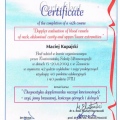 Powiększ obraz: certificate 19