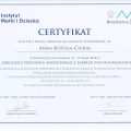 Powiększ obraz: certificate 2