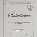 Powiększ obraz: certificate 1