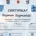 Powiększ obraz: certificate 4