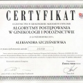 Powiększ obraz: certificate 9