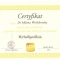Powiększ obraz: certificate 5