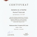 Powiększ obraz: certificate 1