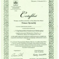 Powiększ obraz: certificate 22