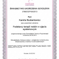 Powiększ obraz: certificate 8