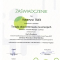 Powiększ obraz: certificate 5