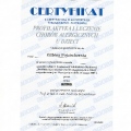 Powiększ obraz: certificate 11