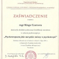 Powiększ obraz: certificate 14