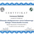 Powiększ obraz: certificate 14