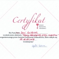 Powiększ obraz: certificate 7