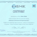 Powiększ obraz: certificate 15