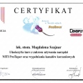 Powiększ obraz: certificate 11