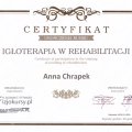 Powiększ obraz: certificate 4