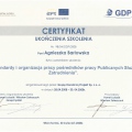 Powiększ obraz: certificate 11