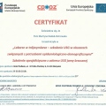 Powiększ obraz: certificate 6