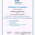 Powiększ obraz: certificate 9