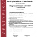 Powiększ obraz: certificate 23