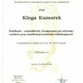 Powiększ obraz: certificate 16