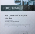 Powiększ obraz: certificate 7