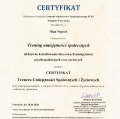 Powiększ obraz: certificate 1