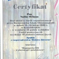 Powiększ obraz: certificate 6