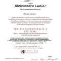 Powiększ obraz: certificate 11