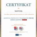 Powiększ obraz: certificate 3