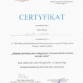 Powiększ obraz: certificate 21