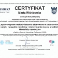 Powiększ obraz: certificate 10