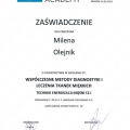 Powiększ obraz: certificate 1