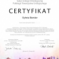 Powiększ obraz: certificate 3