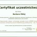 Powiększ obraz: certificate 31