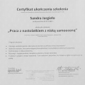 Powiększ obraz: certificate 11