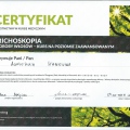 Powiększ obraz: certificate 4