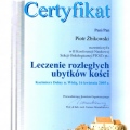 Powiększ obraz: certificate 57