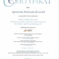 Powiększ obraz: certificate 1