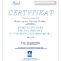 Powiększ obraz: certificate 7