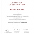 Powiększ obraz: certificate 14