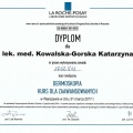 Powiększ obraz: certificate 42