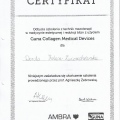 Powiększ obraz: certificate 2