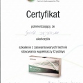 Powiększ obraz: certificate 20