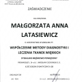 Powiększ obraz: certificate 10