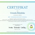Powiększ obraz: certificate 37