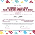 Powiększ obraz: certificate 17